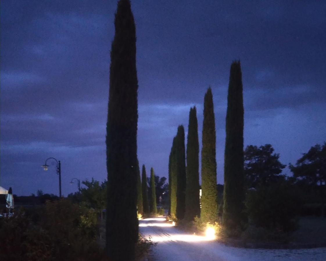 Agriturismo Barbarino วินชี ภายนอก รูปภาพ
