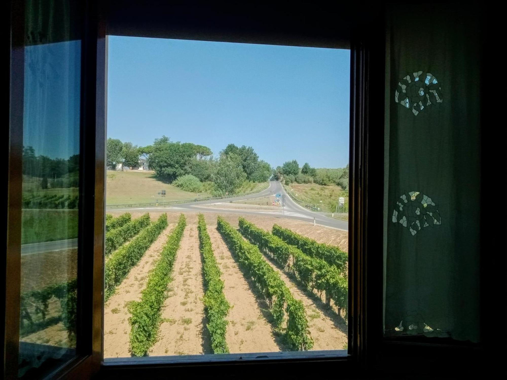 Agriturismo Barbarino วินชี ภายนอก รูปภาพ